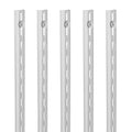 Shelf Track 39-inch 10 Pack Adjustable Steel Wall Mounted Shelf Pilaster