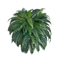 Artificial Boston Ferns Large Plastic Fern 88 Branches Indoor Outdoor Decor