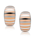 TK273 - High polished (no plating) Stainless Steel Earrings with Epoxy in No Stone