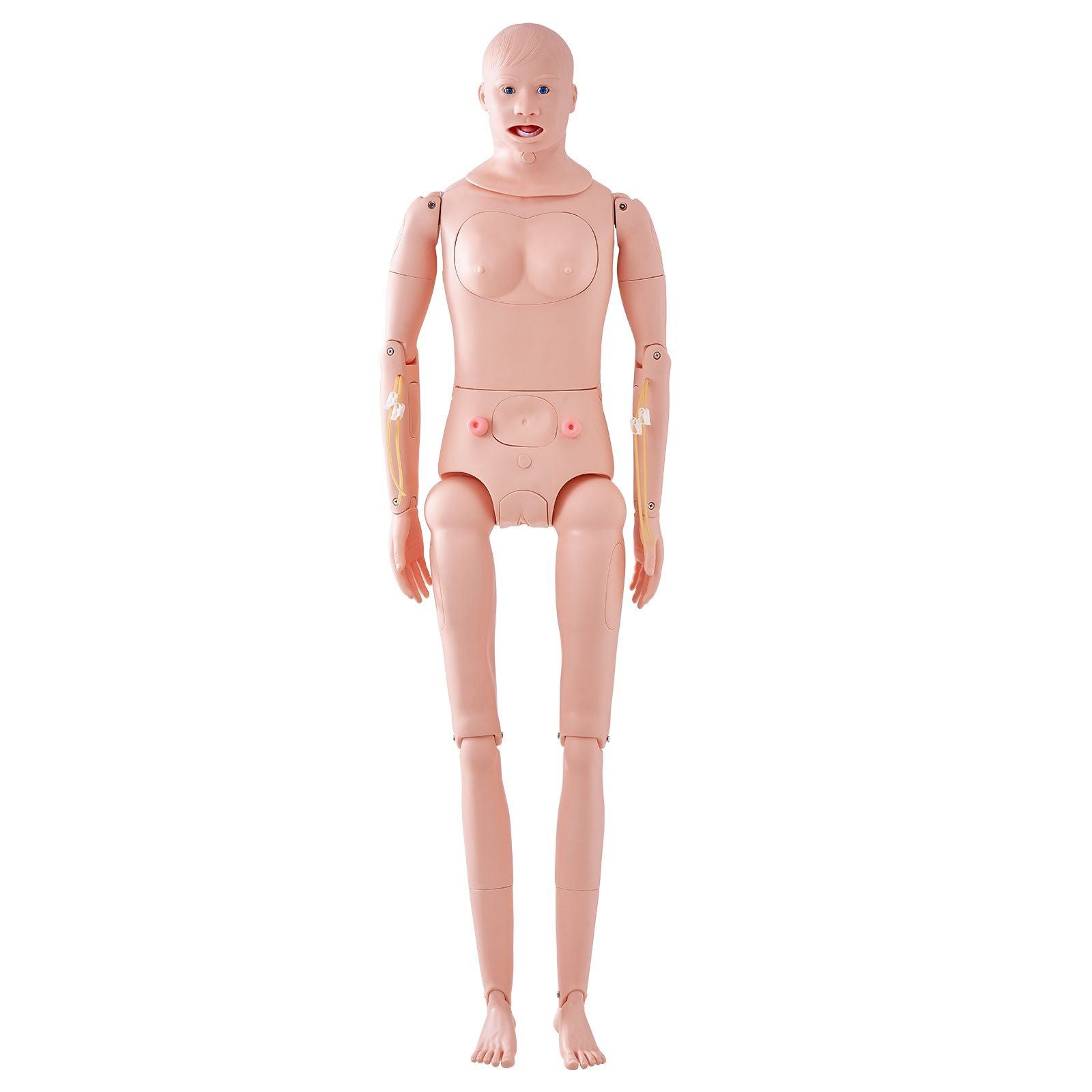 Nursing Training Manikin, Male/Female Life Size Demonstration Human Manikin for Nursing Training, Multifunctional Education Teaching Model, PVC Anatomical Mannequin Body Care Simulator Model