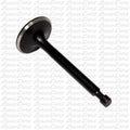 Black Nitride Coated 24.5mm Stainless Steel Valve with 5.5mm Stem
