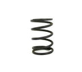 Legality-Tested Green Stripe Box Stock Valve Spring 10.8 lbs for Clones