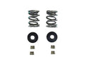 Dyno 32# Dual Valve Spring Kit for High-Rev Clone Engines